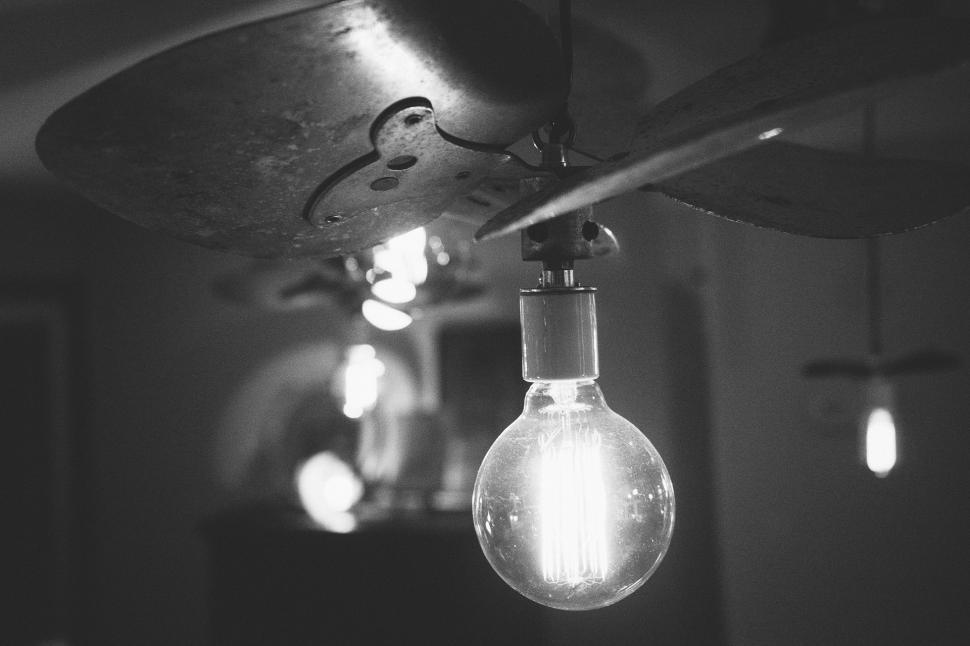 Free Image of Light Bulb in Black and White 