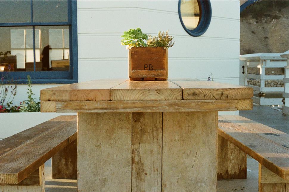 Free Image of Wooden Table With Potted Plant 