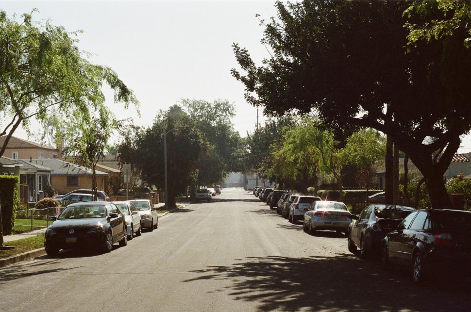 Free Image of Tree-Lined Street With Parked Cars 