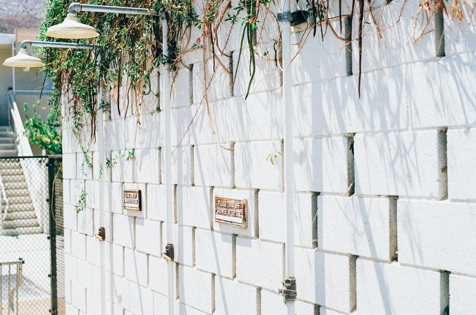 Free Image of White Brick Wall With Plants 