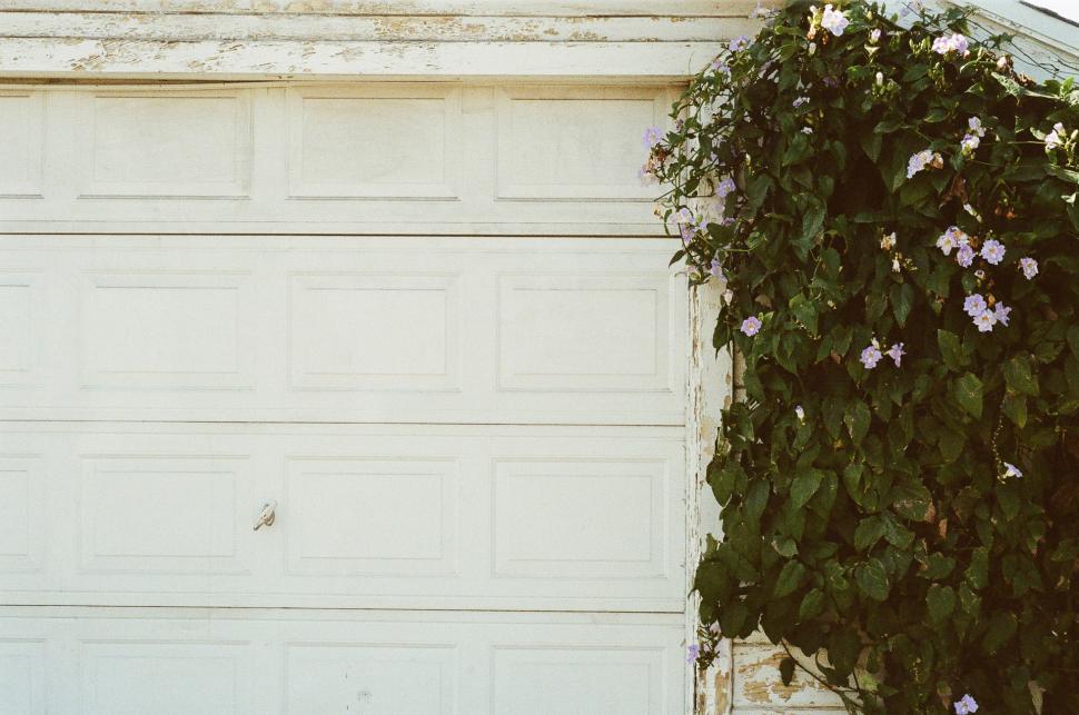 Free Image of White Garage Door Covered in Vines and Flowers 
