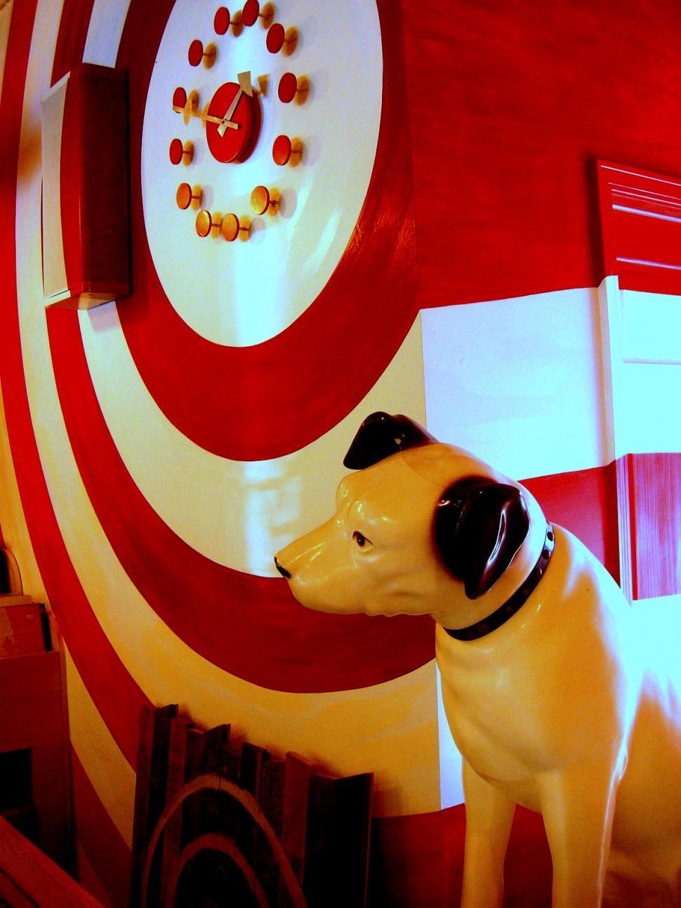 Free Image of White Dog Standing in Front of Red and White Wall 
