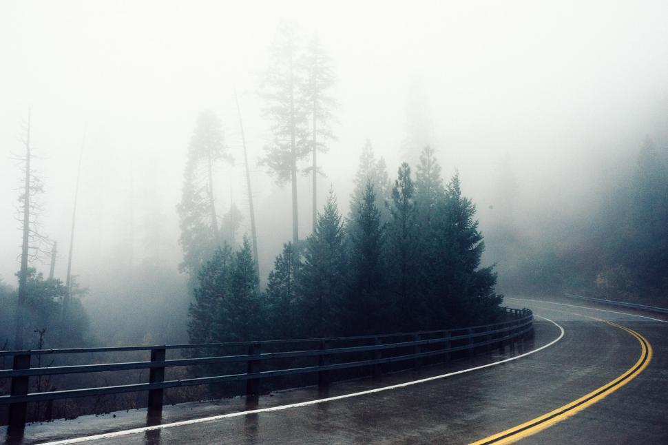 Free Image of Foggy Road With Trees on Both Sides 