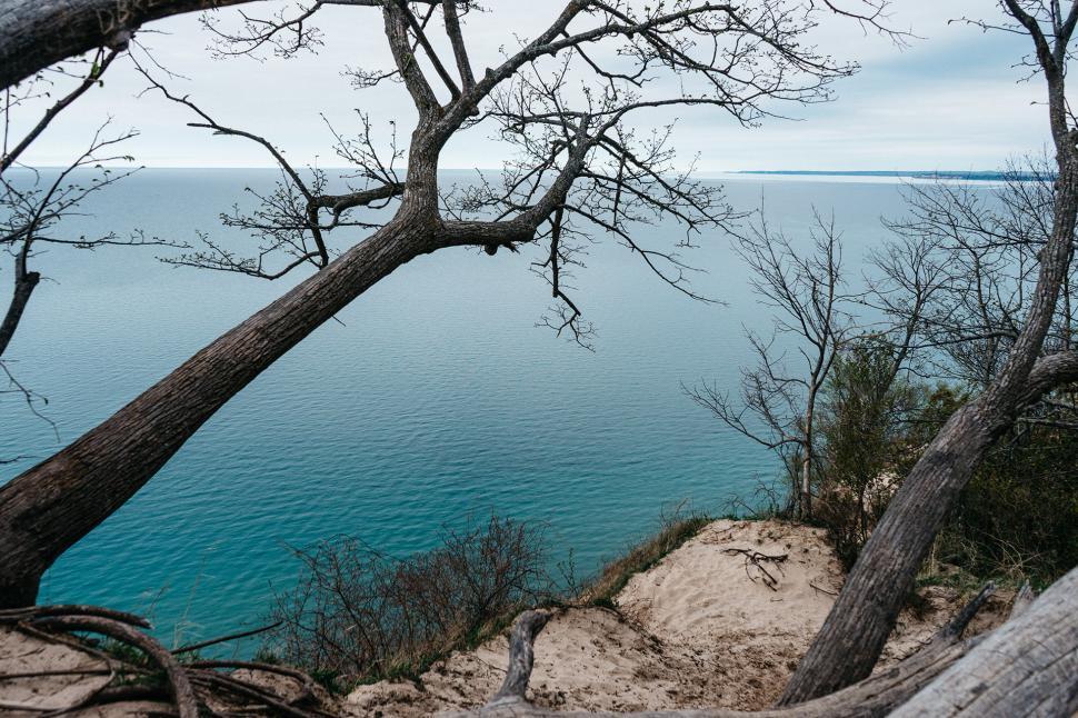 Free Image of Large Body of Water Surrounded by Trees 