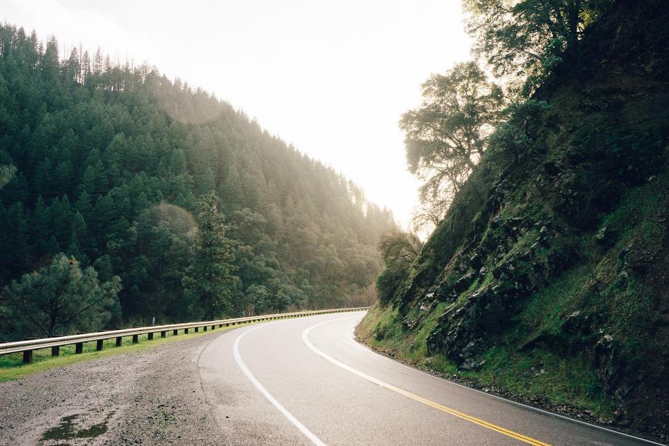 Free Image of Car Driving Along Lush Green Forest 