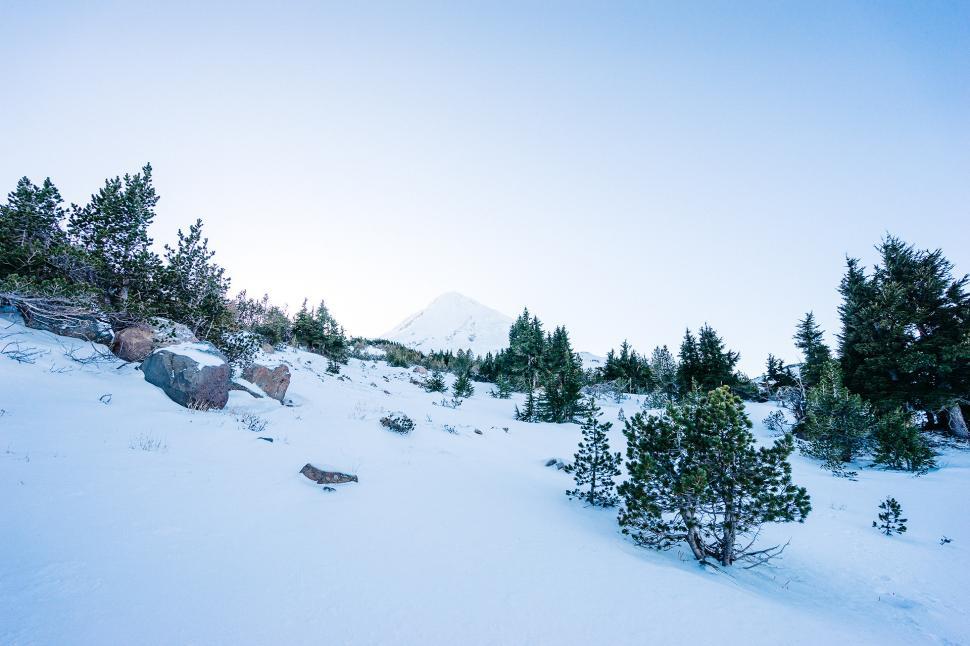 Free Image of Snow Covered Hill With Trees and Rocks 