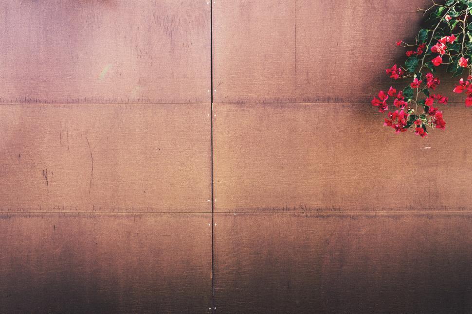 Free Image of Red Flowers Hanging on Wall 