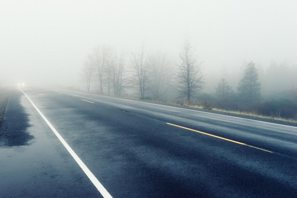 Free Image of Foggy Road With Trees 