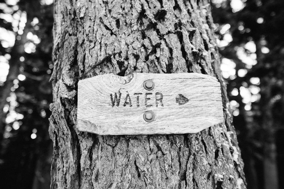 Free Image of Sign on Tree Reads Water 