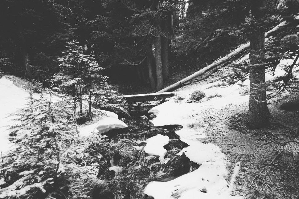 Free Image of Stream Flowing Through Snow-Covered Forest 