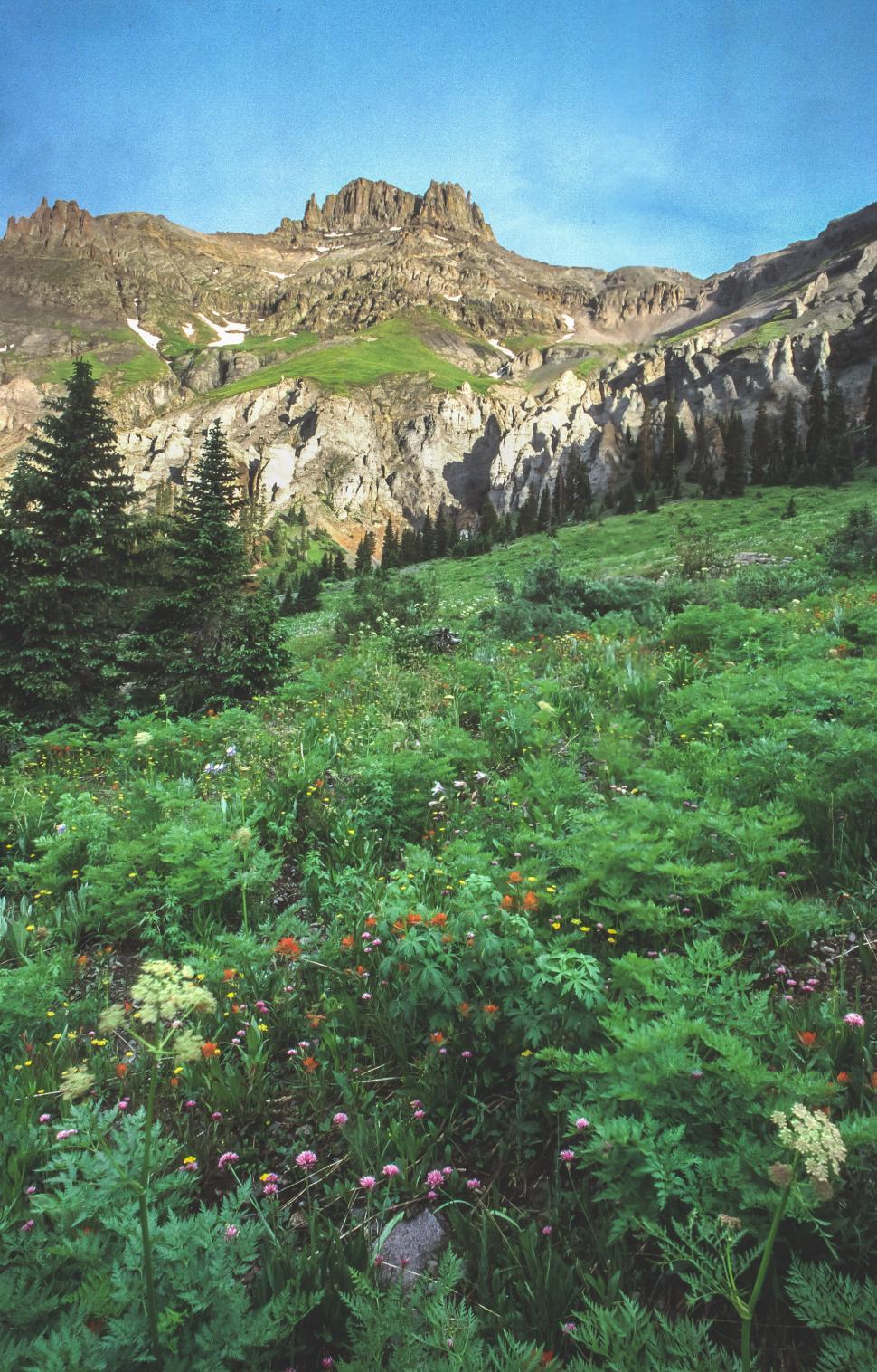 Free Image of Uncompahgre National Forest 