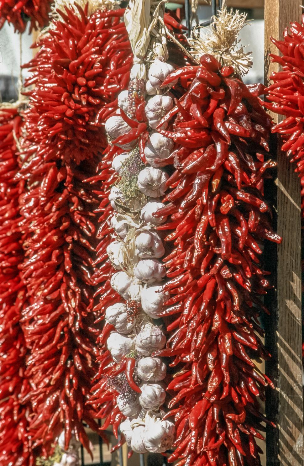 Free Image of Garlic and red chillies 