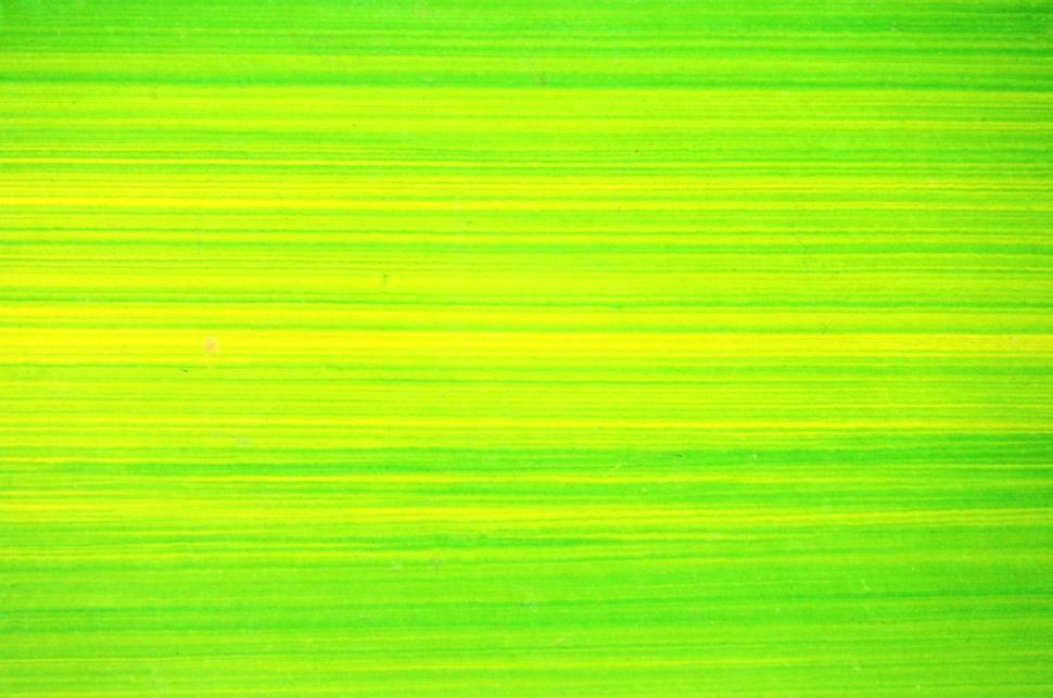 Download Free Stock Photo of Bright Green Lines Background  