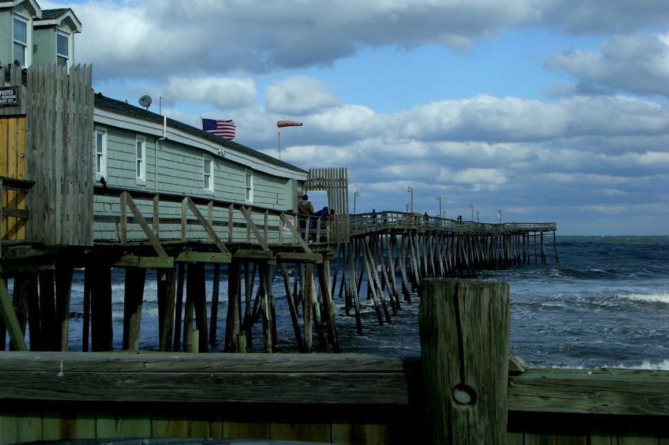 Free Image of Duck - The Warped Pier 