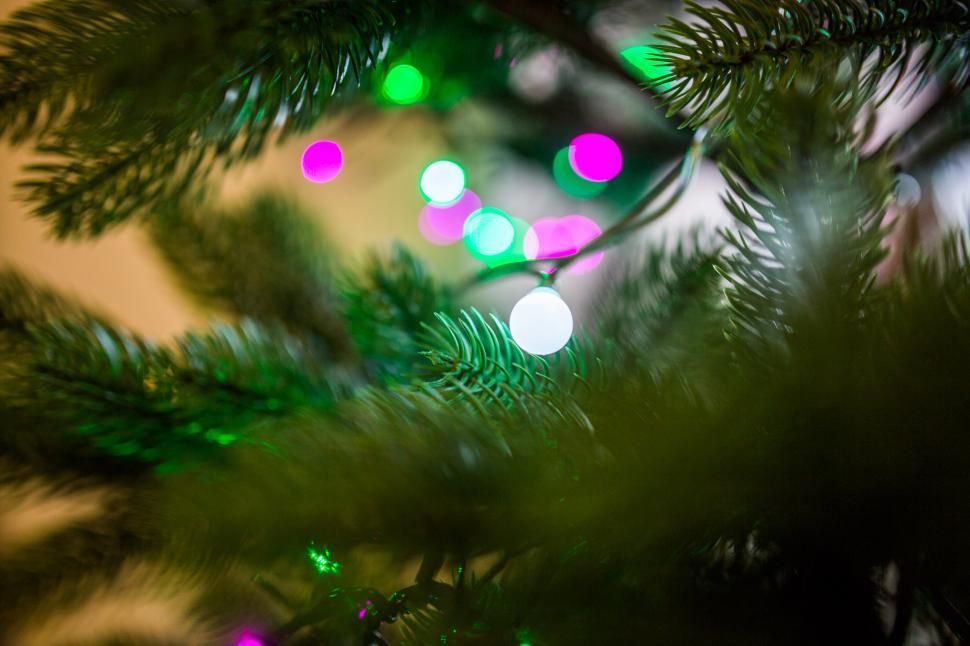 Free Image of Close Up of a Christmas Tree With Lights 