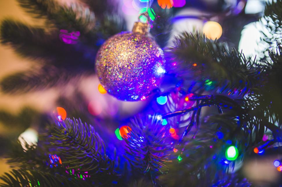 Free Image of Close Up of a Christmas Tree With Lights 
