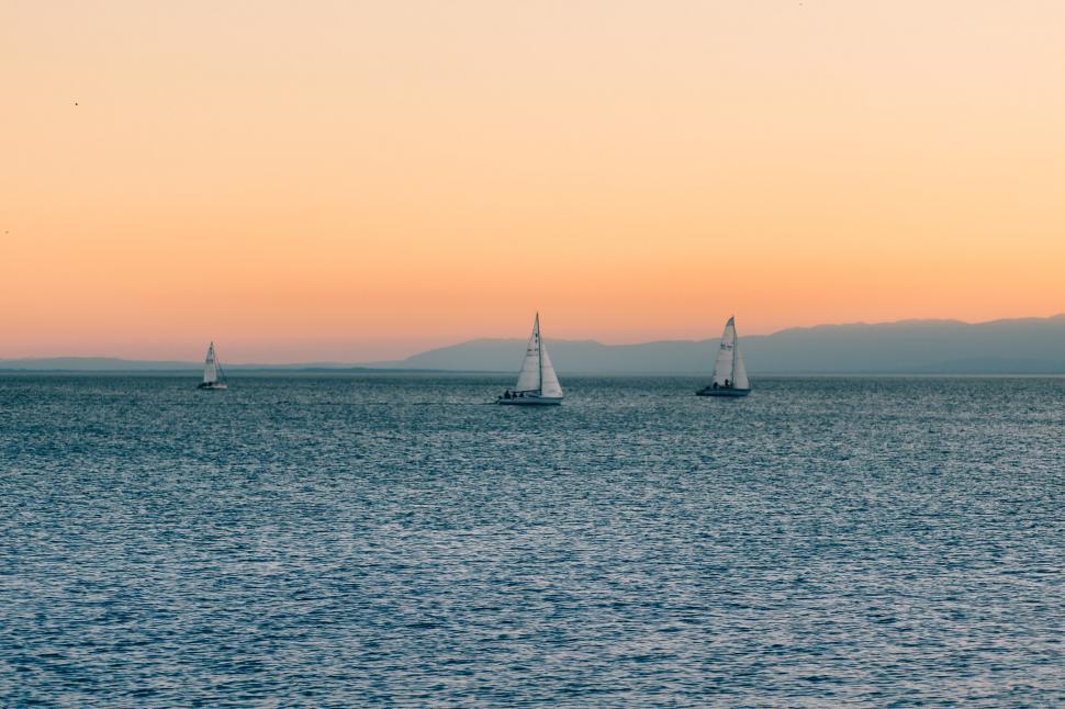Free Image of Group of Sailboats Floating on Large Body of Water 