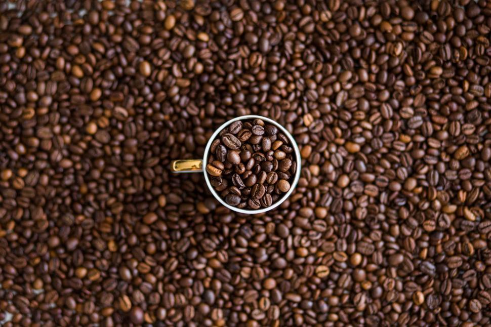 Free Image of Cup Filled With Coffee Beans on Top of Pile of Coffee Beans 