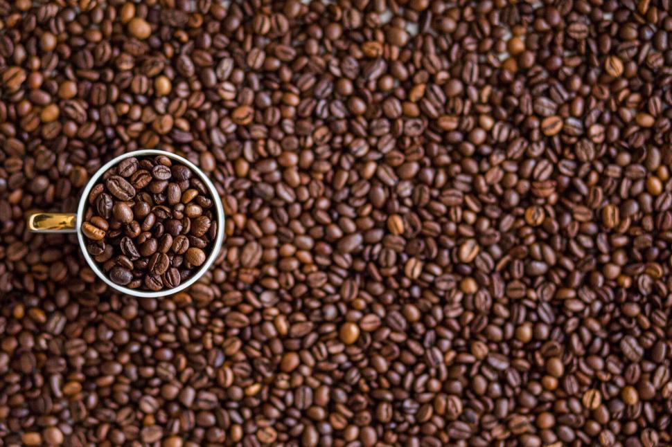 Free Image of Cup of Coffee Beans on Pile 