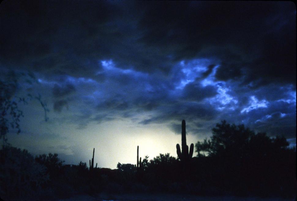 Download Free Stock Photo of Desert glow 