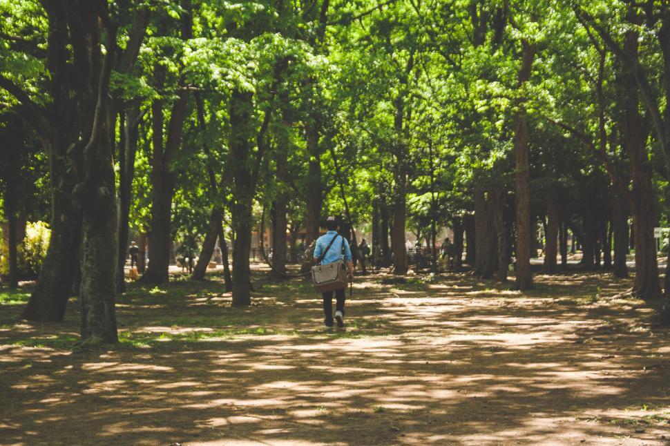 Free Image of Person Walking in the Woods With a Backpack 
