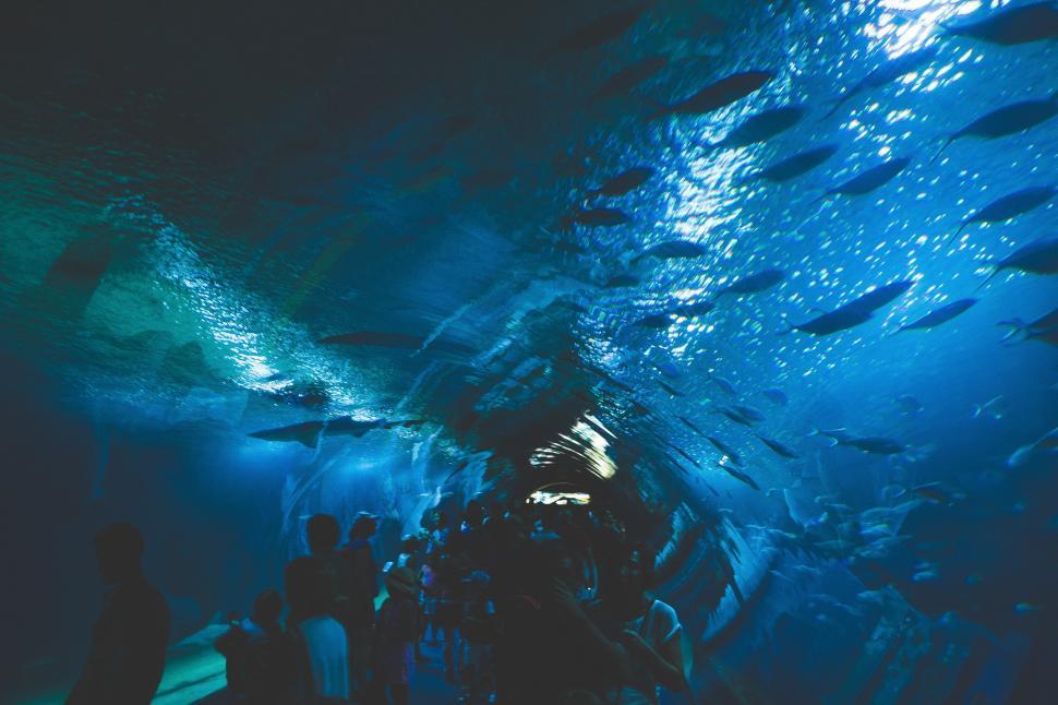 Free Image of People Standing Inside Tunnel Underwater 
