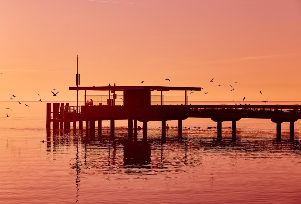 Free Image of Birds Flying Over Pier at Sunset 
