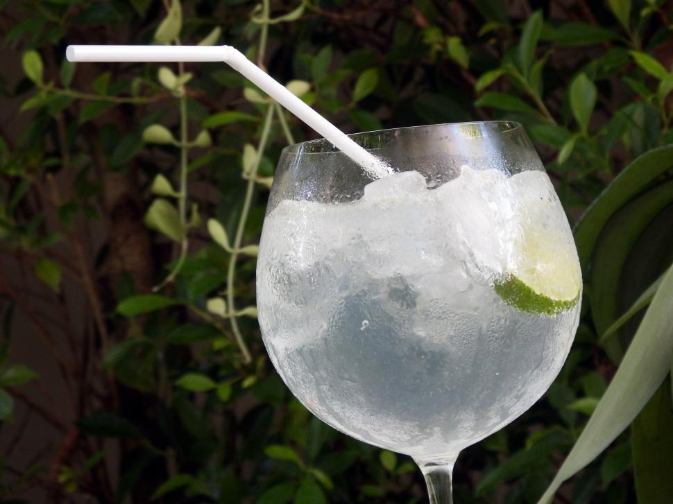 Free Image of Lime Cocktail in the garden  