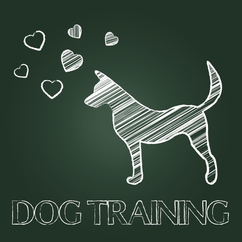 Free Image of Dog Training Indicates Pets Puppy And Pups 