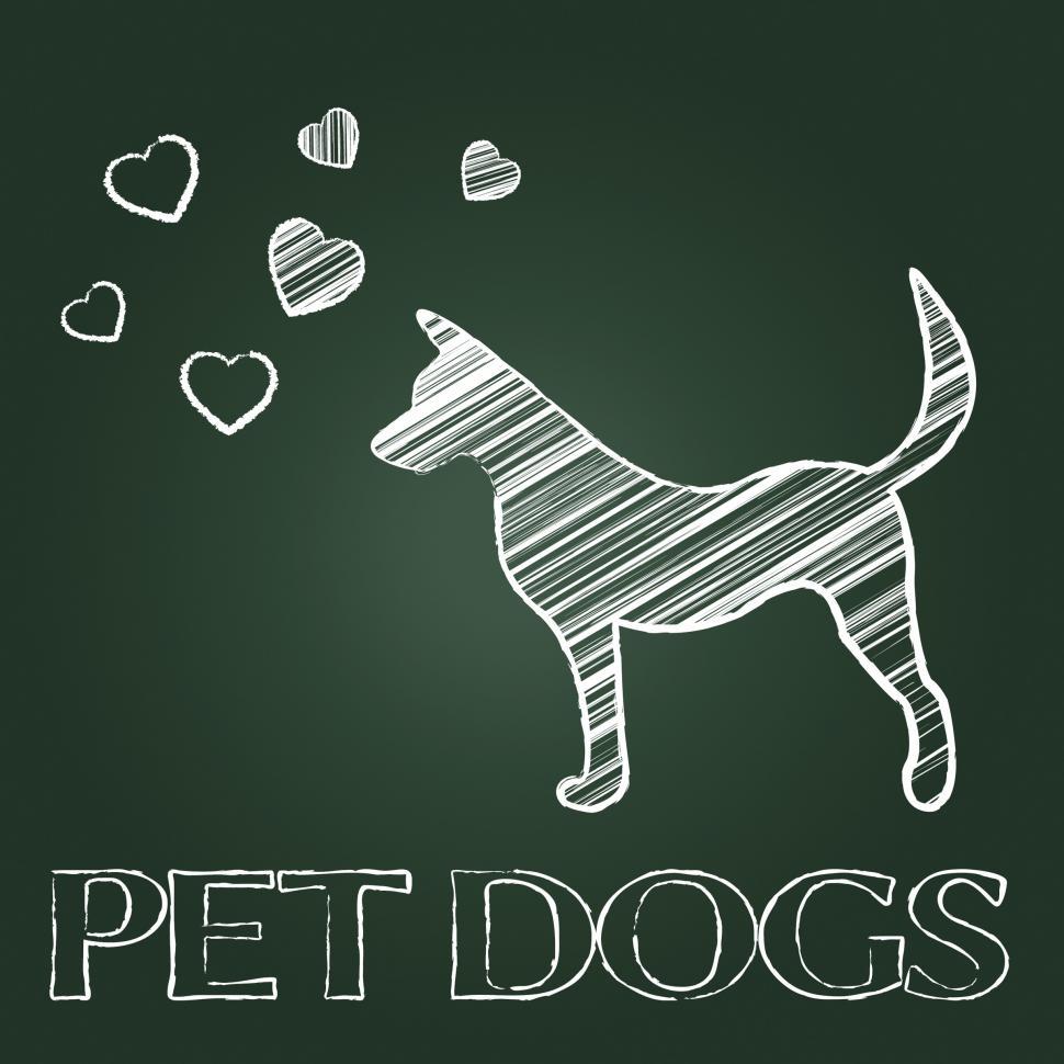 Free Image of Pet Dogs Means Domestic Animals And Canine 