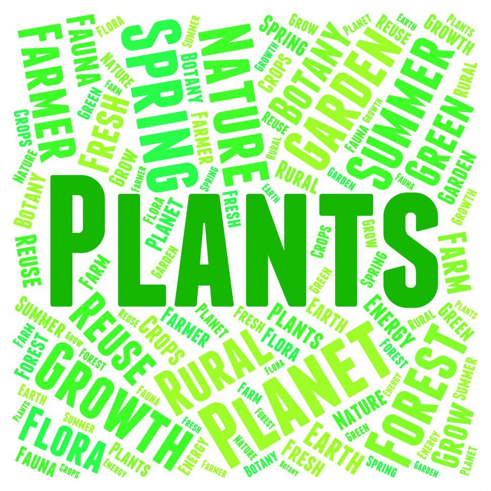 Free Image of Plants Word Indicates Flora Text And Botanical 