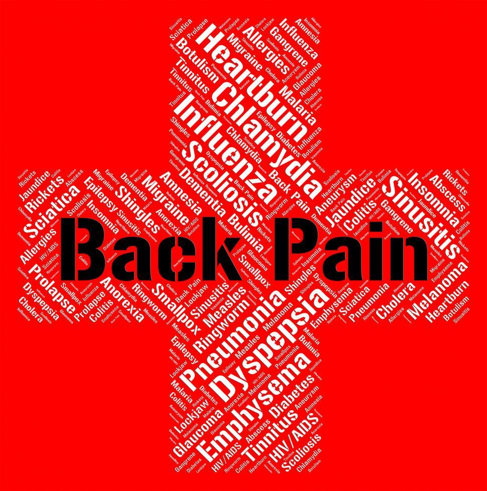 Free Image of Back Pain Shows Poor Health And Ailment 