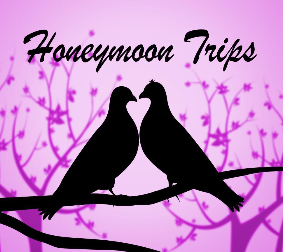 Free Image of Honeymoon Trips Represents Travel Guide And Break 