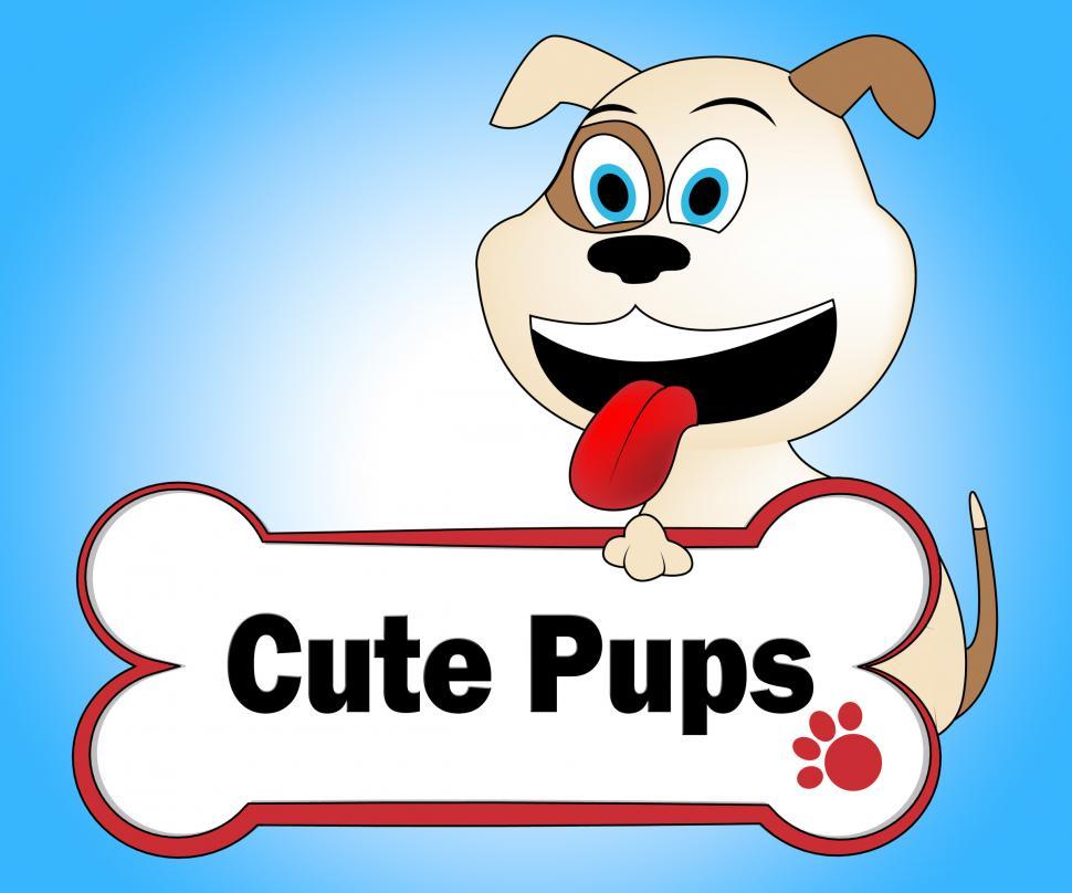 Free Image of Cute Puppies Represents Pretty Dogs And Pets 