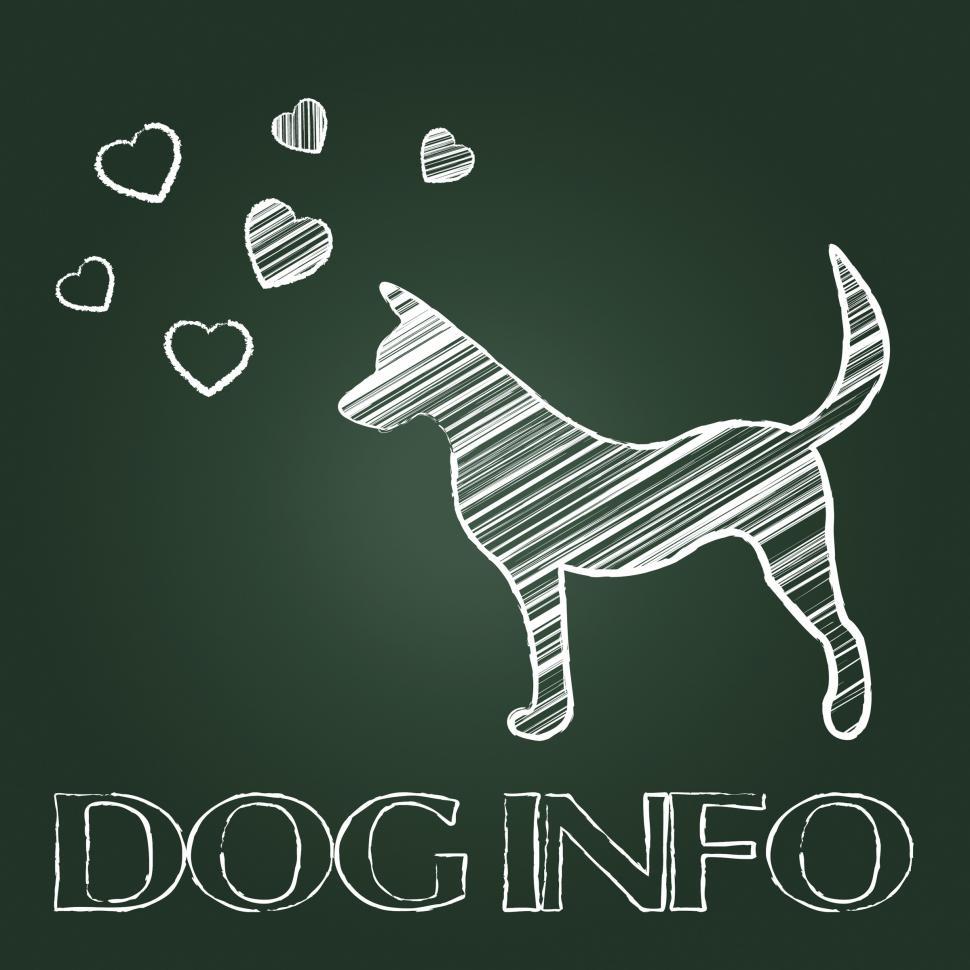 Free Image of Dog Info Means Purebred Support And Pets 