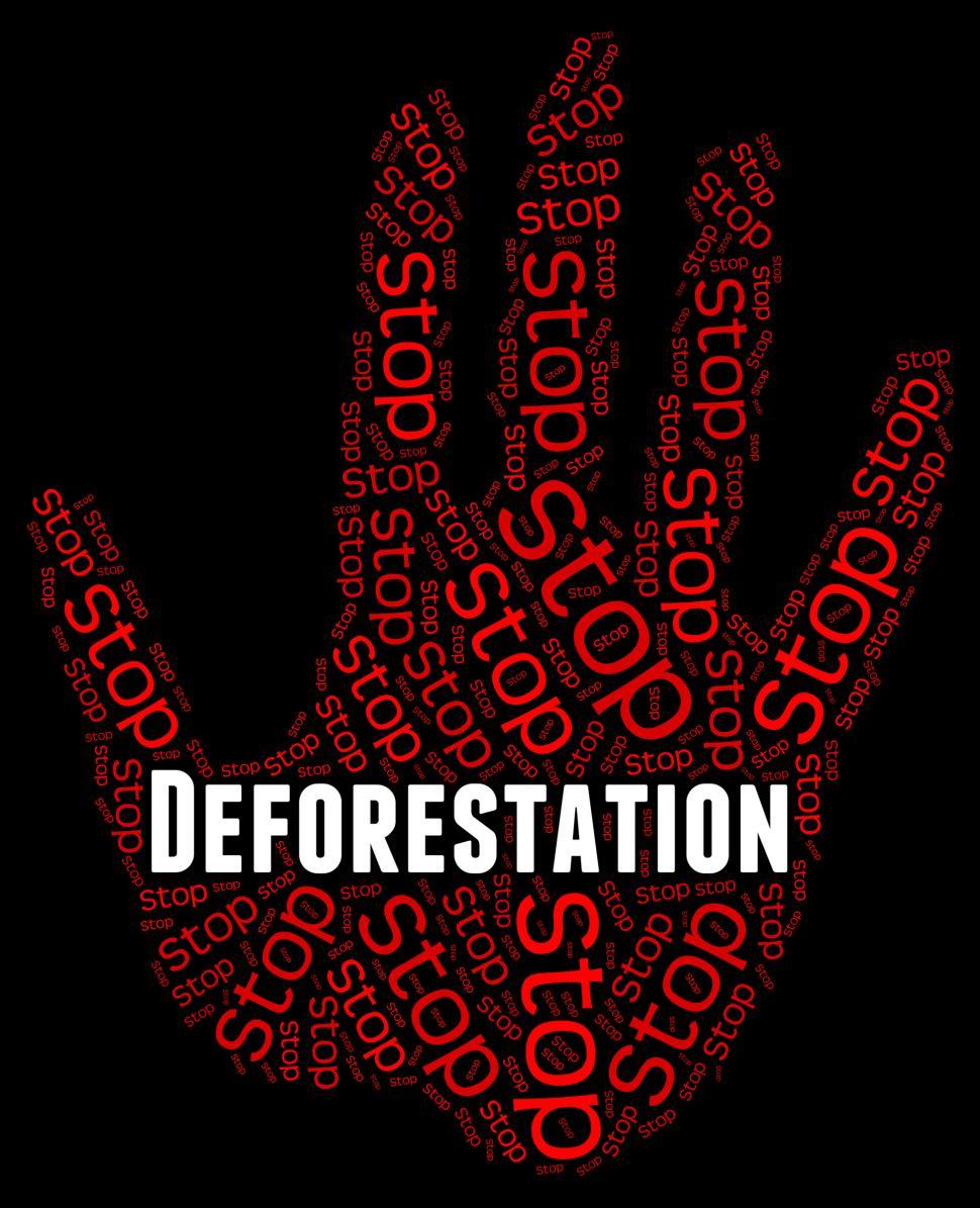 Free Image of Stop Deforestation Means Cut Down And Caution 