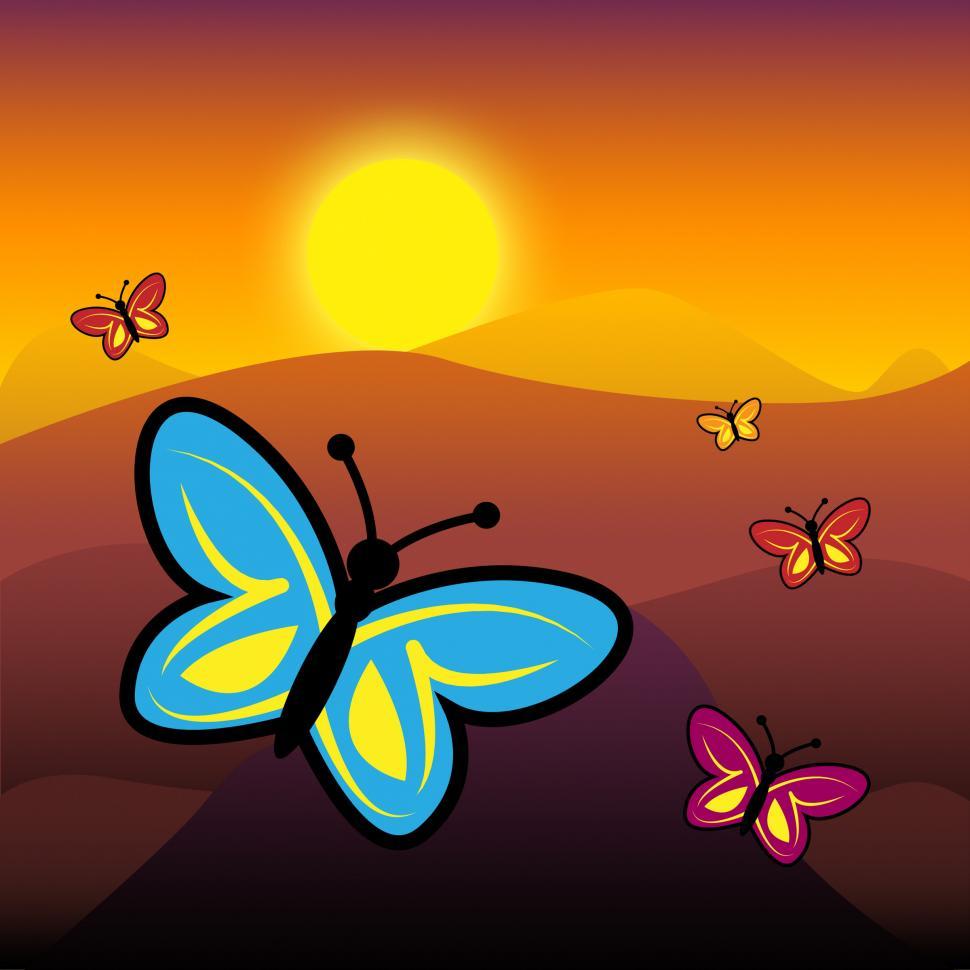 Free Image of Butterflies At Nighttime Represents Flying Luna And Darkness 