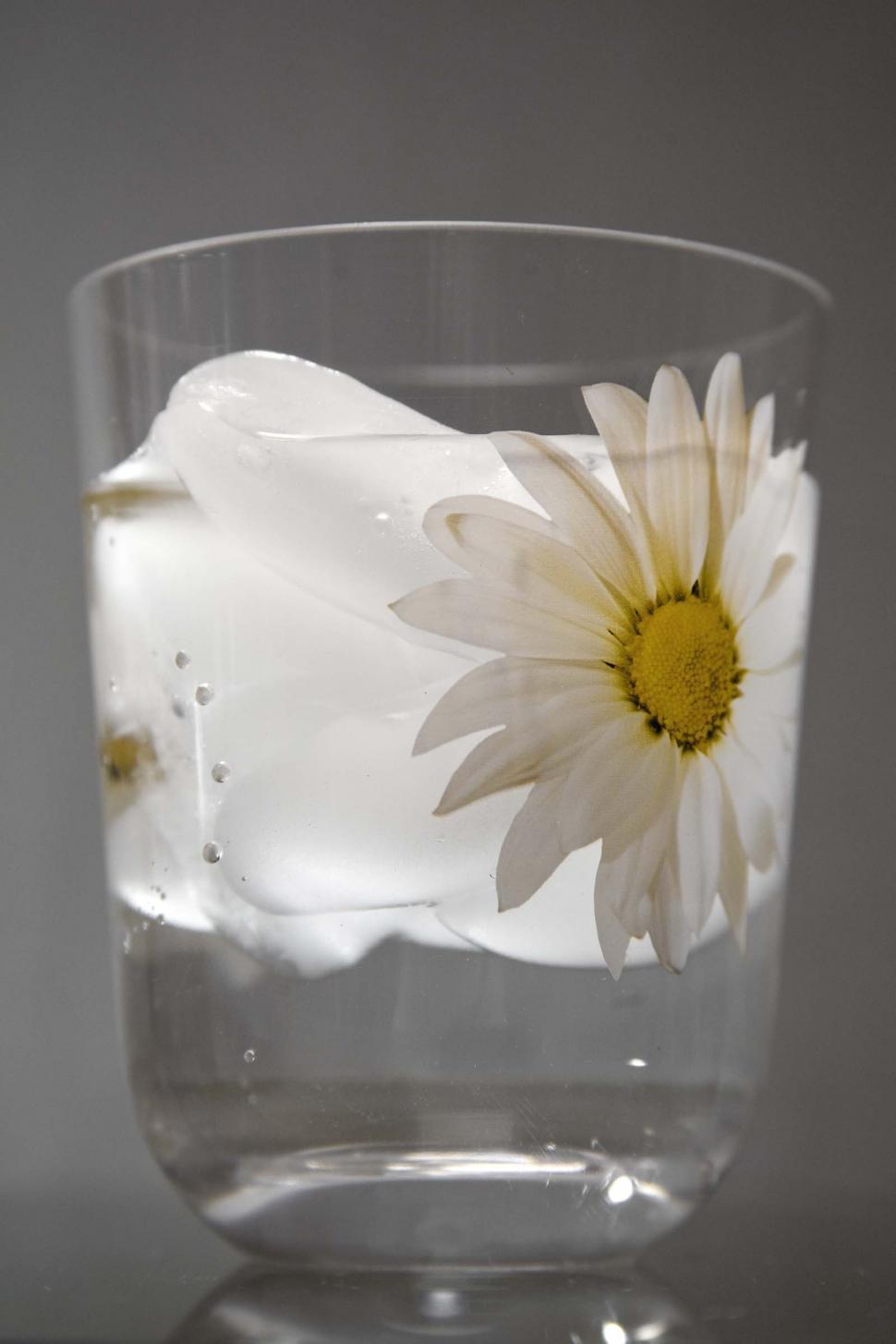 Free Image of Glass of ice water 