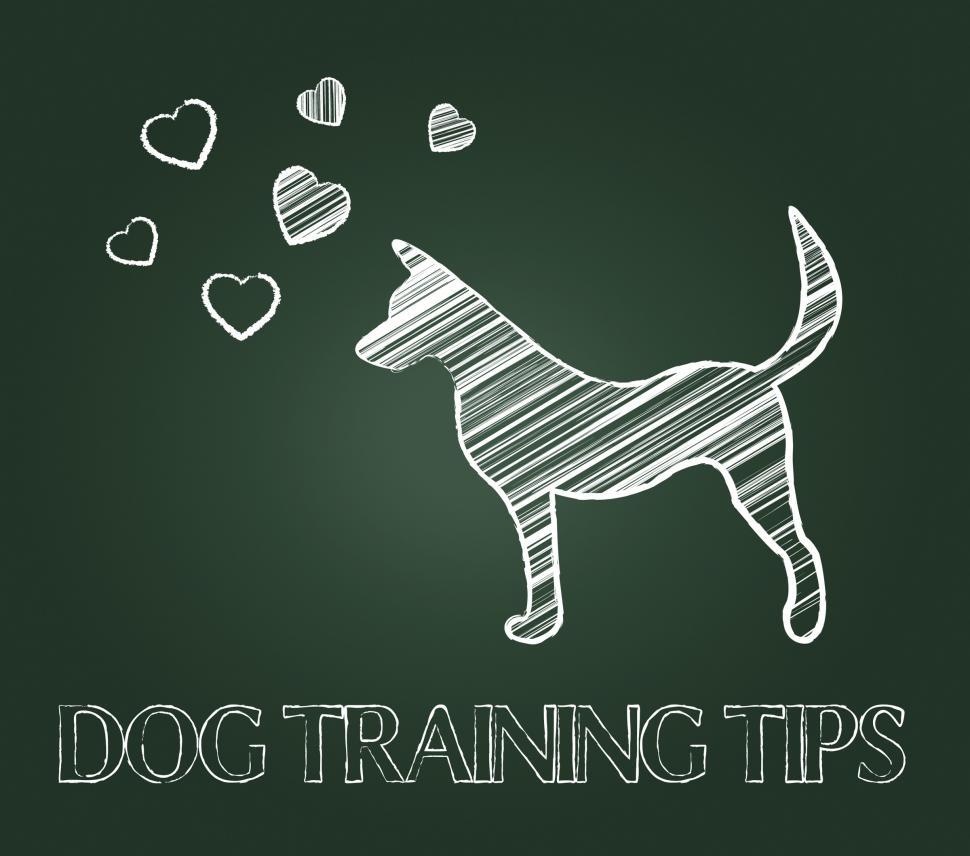 Free Image of Dog Training Tips Shows Instruction Skills And Coaching 