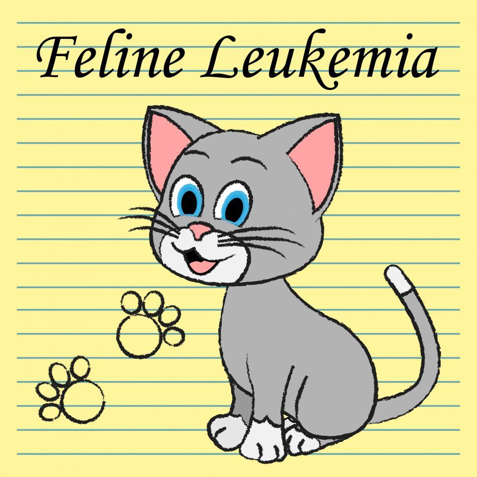 Free Image of Feline Leukemia Represents Domestic Cat Cancer Illness 