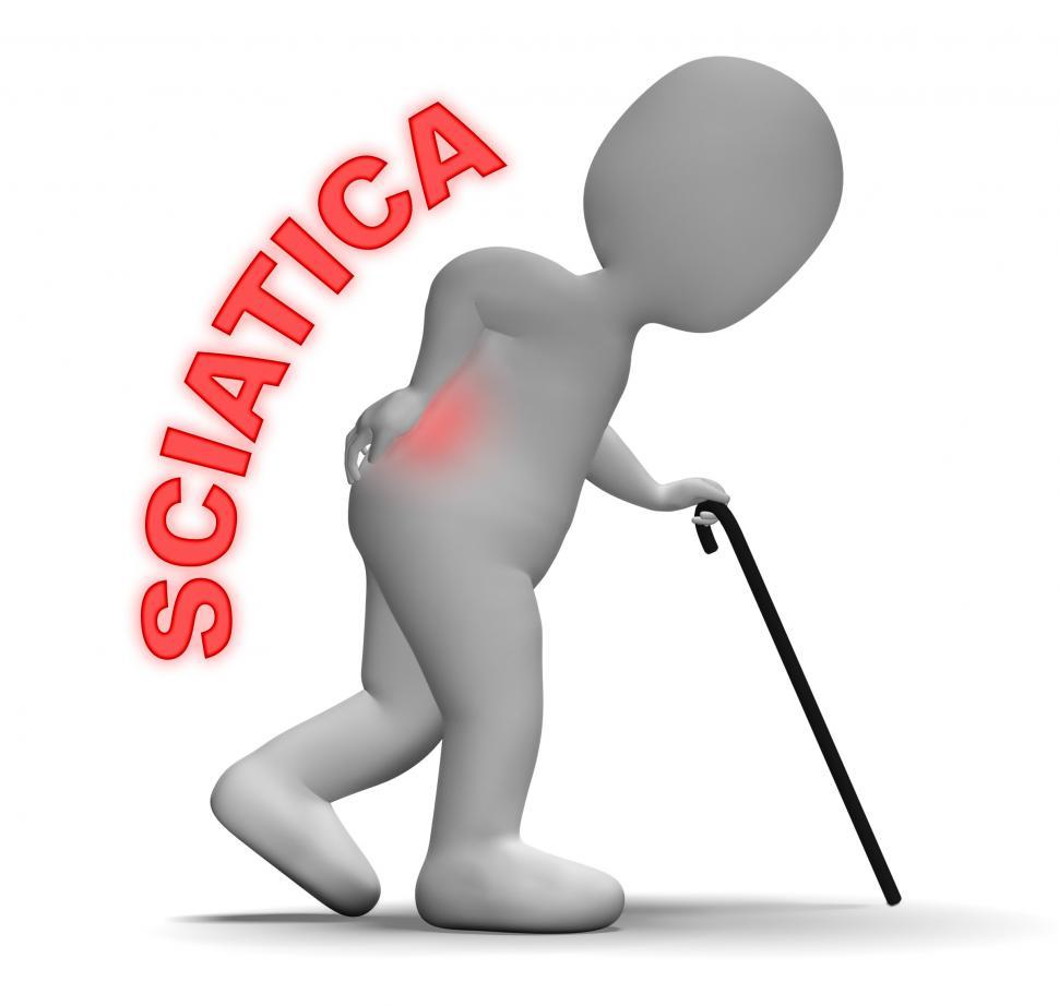 Free Image of Sciatica Pain Indicates Vertebral Column Problem 3d Rendering 