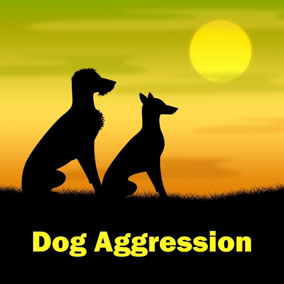 Free Image of Dog Aggression Means Puppies Angry And Hostile 