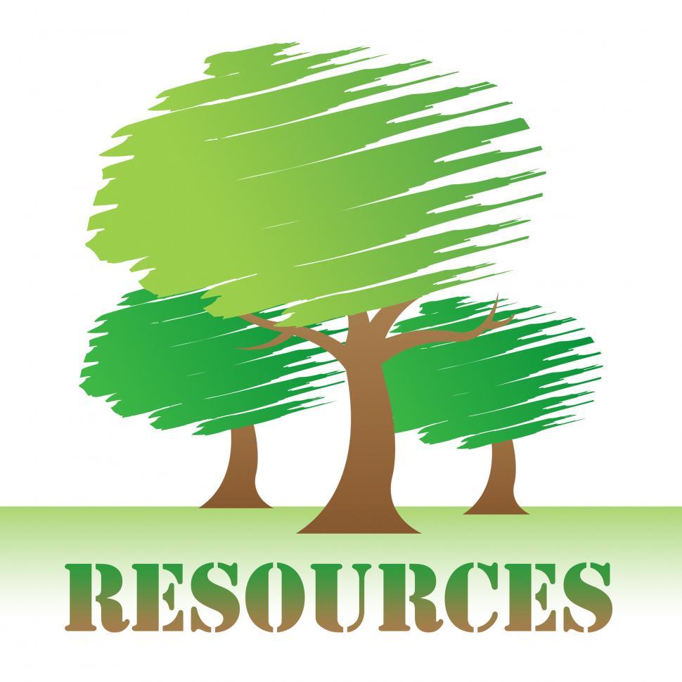 Free Image of Resources Trees Means Natural Sources And Nature 