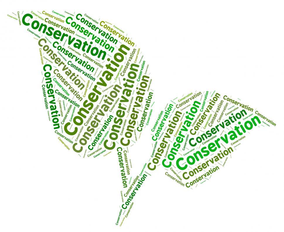 Free Image of Conservation Word Represents Eco Friendly And Ecology 