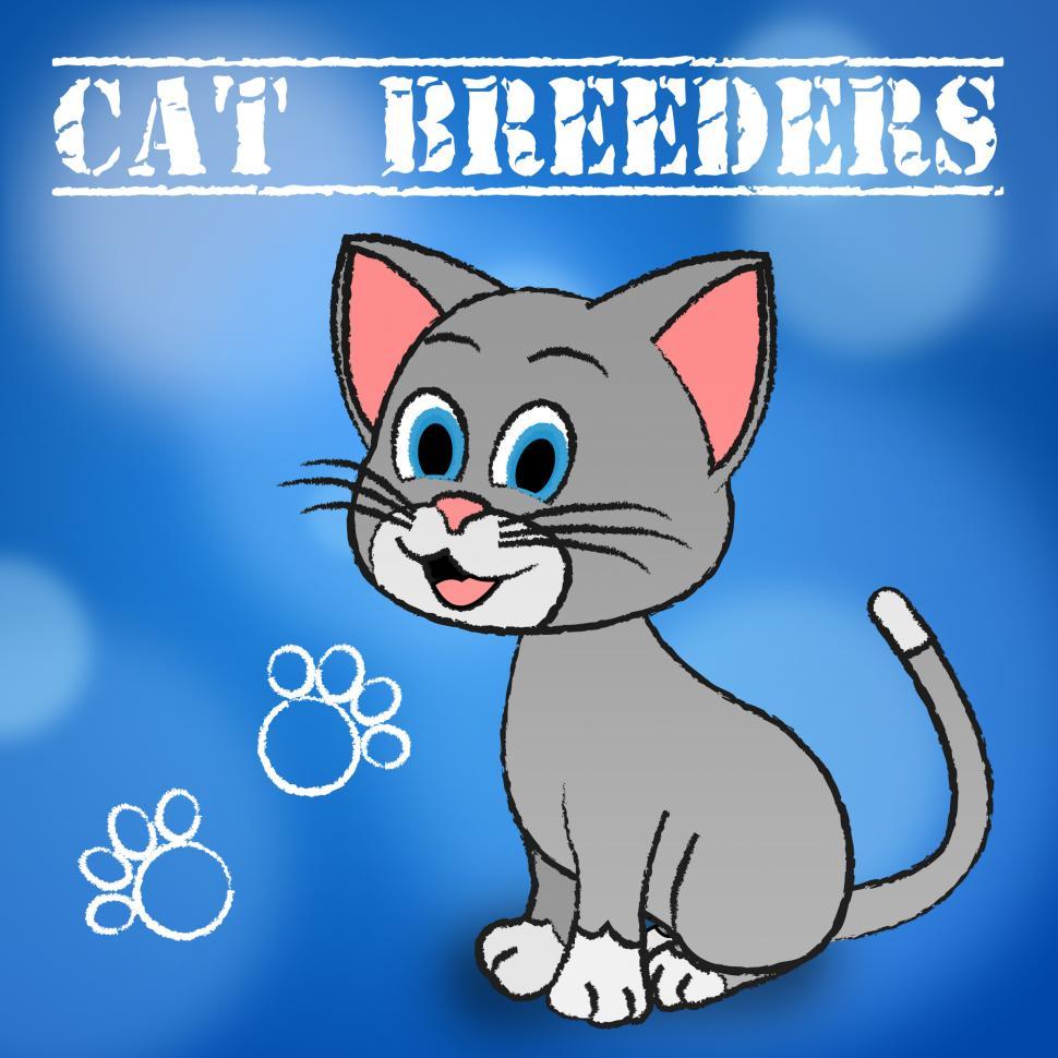Free Image of Cat Breeders Represents Husbandry Reproducing And Mate 