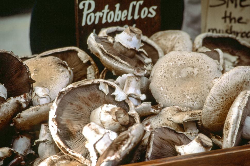 Free Image of Portobello mushrooms 