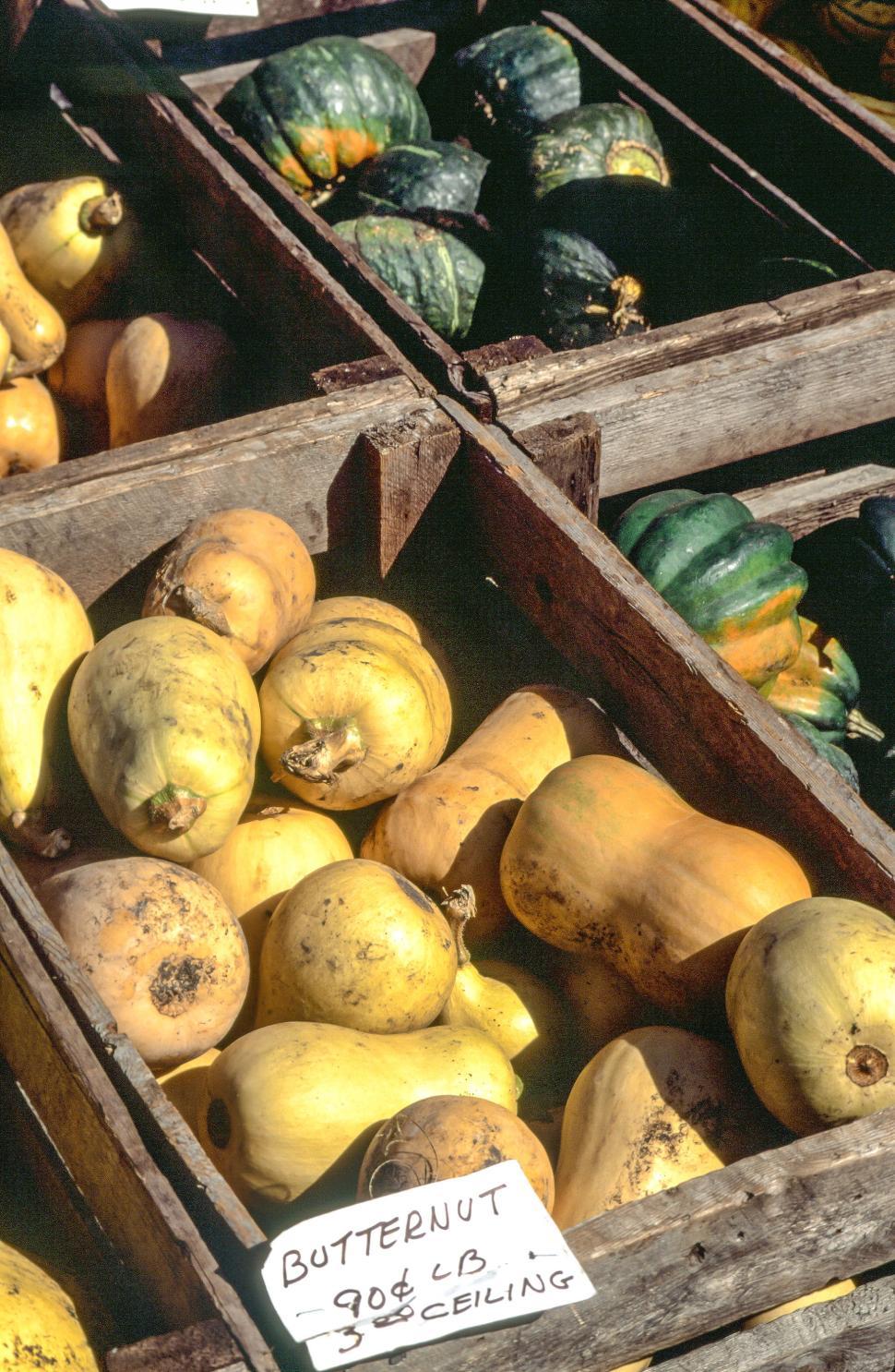 Free Image of Butternut squash for sale 