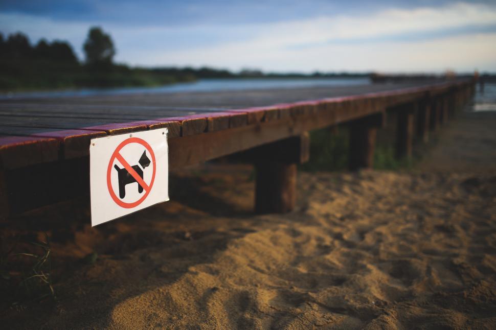 Free Image of No Dogs Allowed Sign on Beach 