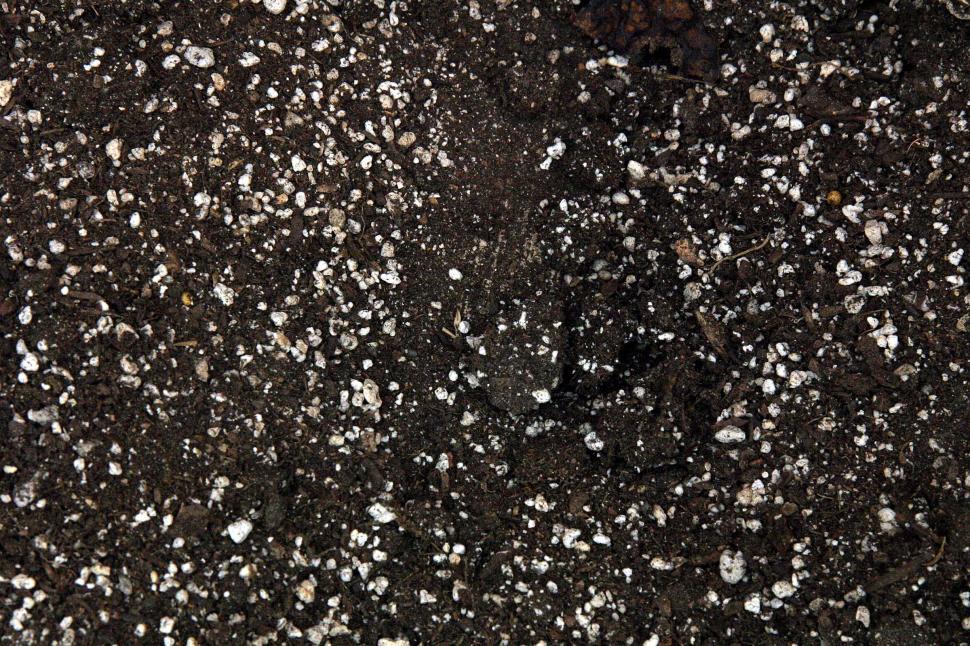 Free Image of Dirt background 