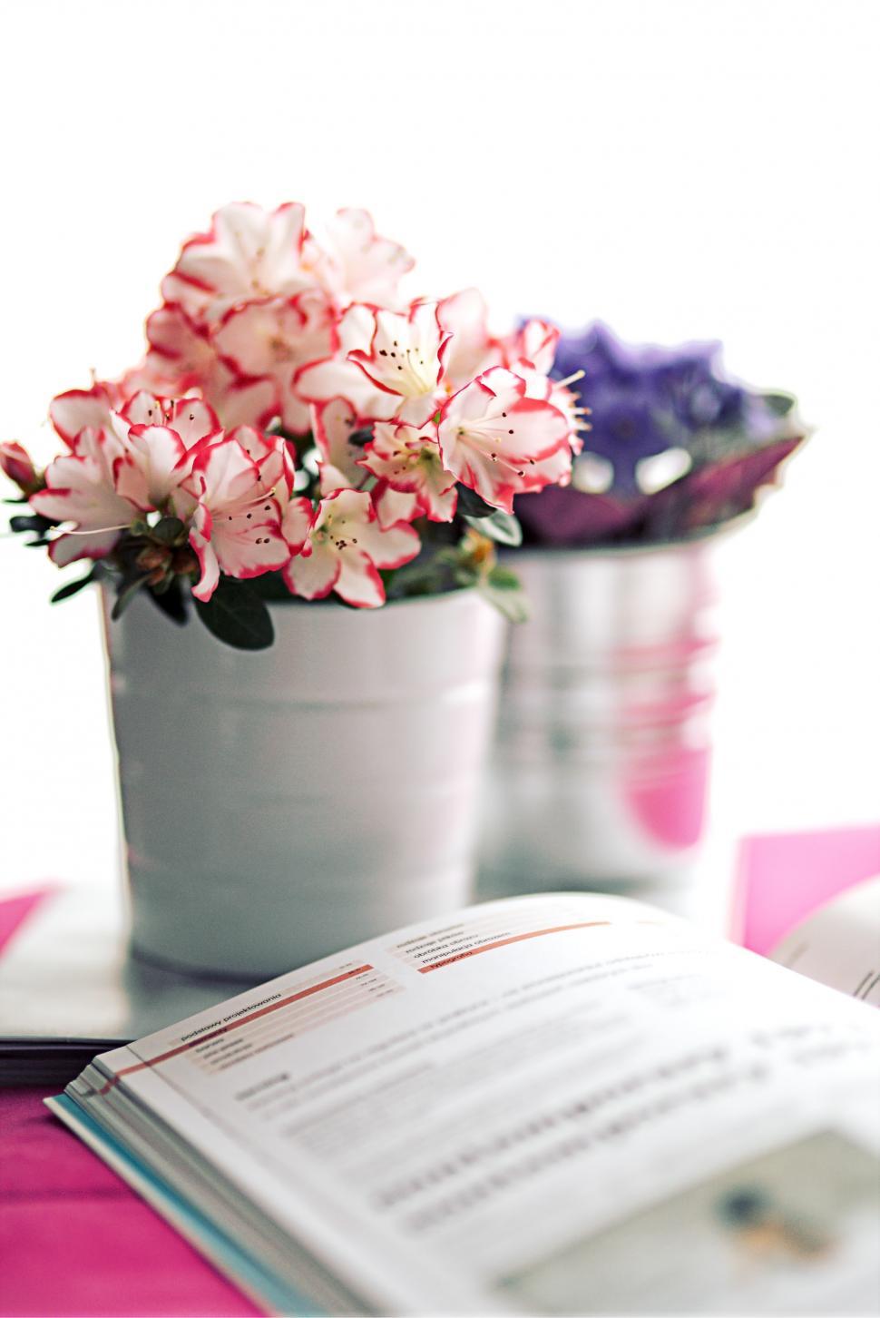 Free Image of Book and Flower Pot on Table 